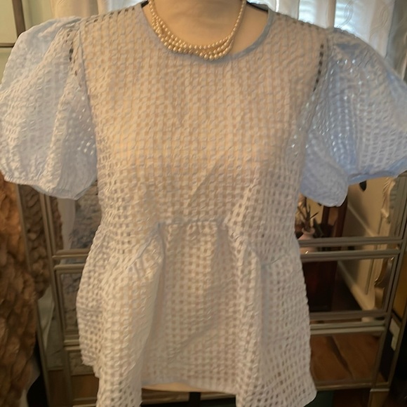 😍 NWT Anthropologie powder blue, mesh-like puffed sleeve top. L. Gorg!! - Picture 3 of 11